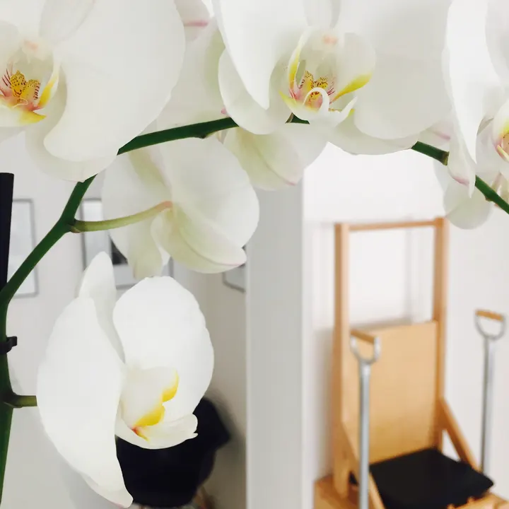 Body & Mind Pilates — pilates-studio à Marseille — 3