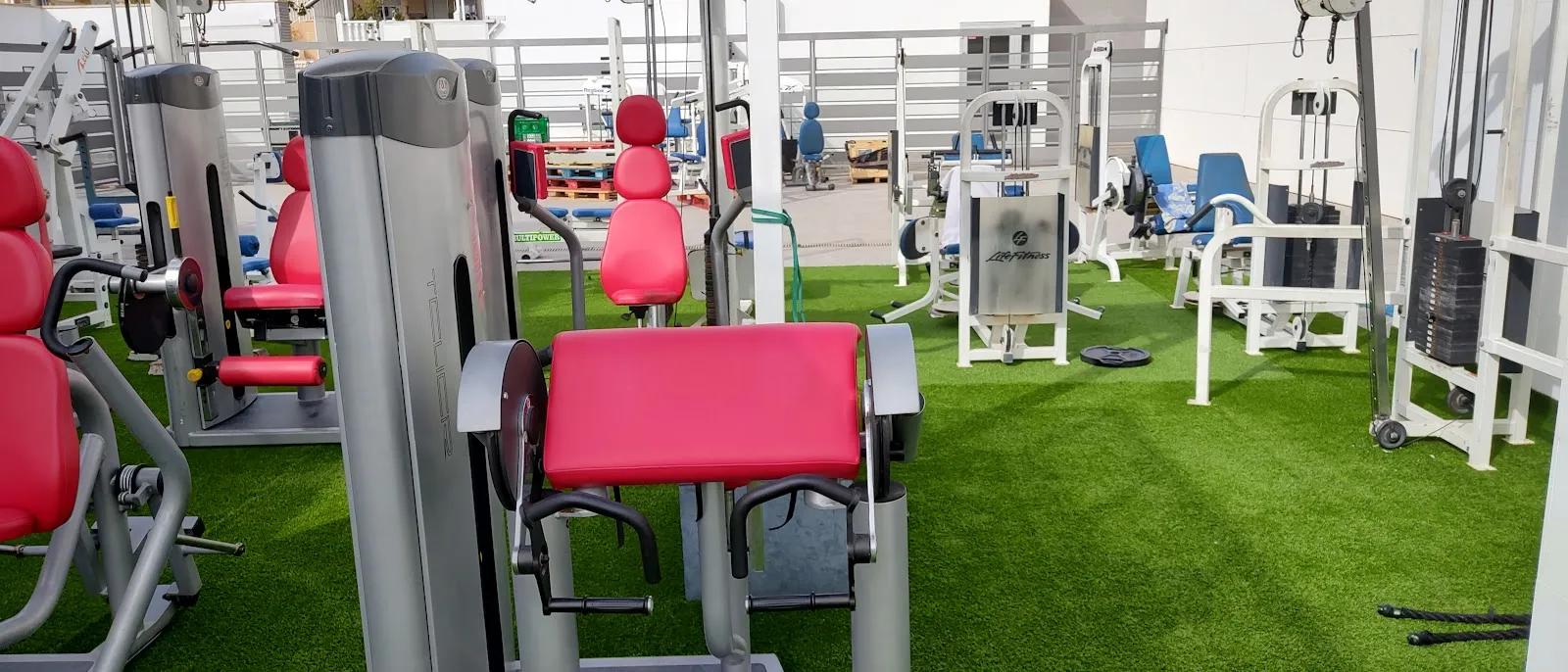 Gym Polamax — estudio de fitness-studio en Santa Pola — 4
