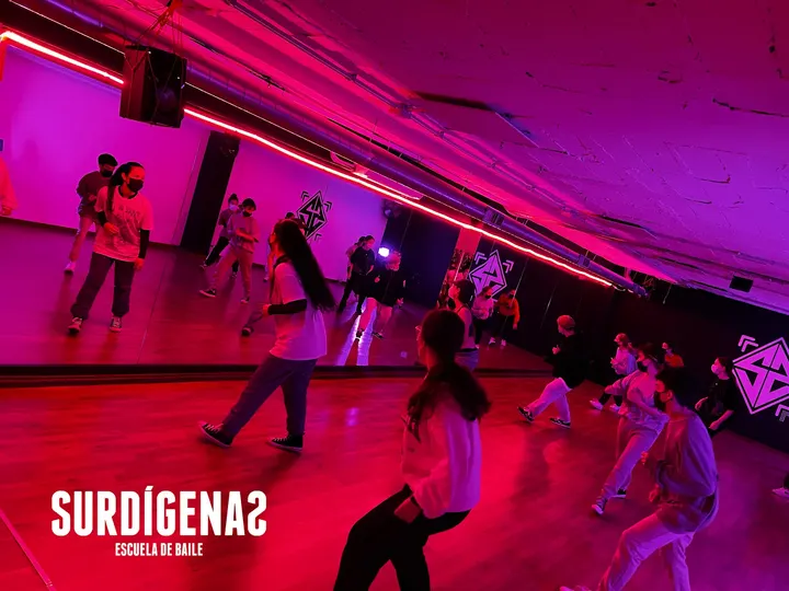 ESCUELA DE BAILE, SURDÍGENAS — baile-studio en Las Lagunas de Mijas — 3