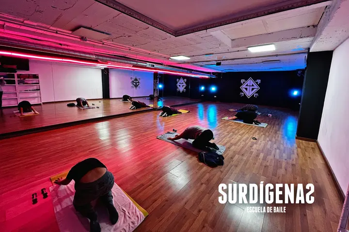 ESCUELA DE BAILE, SURDÍGENAS — baile-studio en Las Lagunas de Mijas — 3