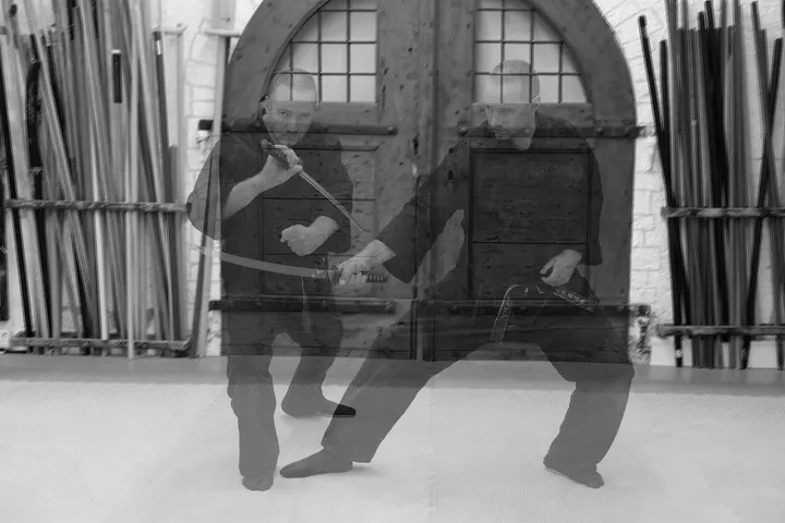 Bujinkan Furyu Dojo e.V. — Kampfsport in Wiley-Mitte, Neu-Ulm