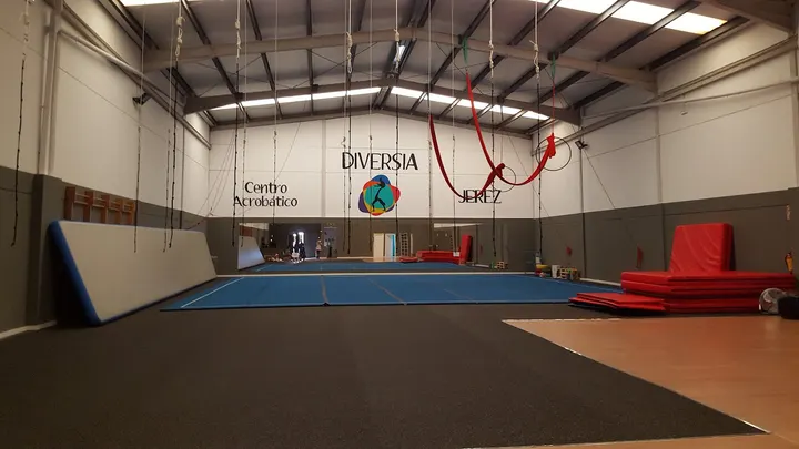 Diversia Centro Acrobático Jerez — gimnasia-studio en Jerez de la Frontera — 3