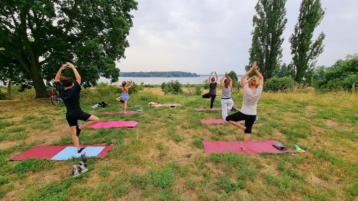 For Your Happiness Yoga - online Yoga — yoga-studio in Berlin — 3