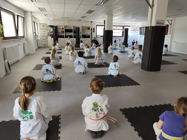 MINEMA Martial Arts — Kickboxen in Puchheim-Bahnhof, München