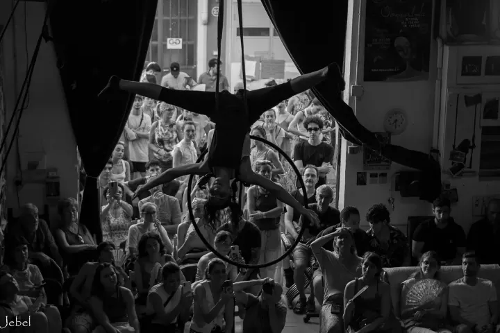 La Fucina del Circo A.s.d.c.r. Scuola — acrobatica aerea-studio a Regio Parco, Torino — 3