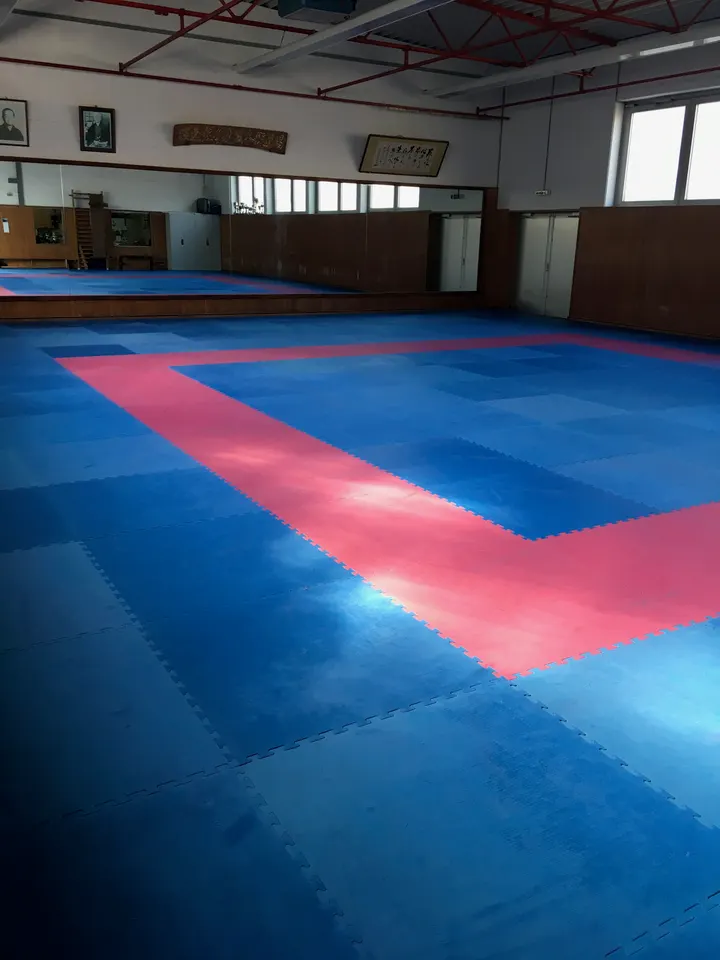 Karateschule Hideo Ochi — kampfsport-studio in Stadtmitte, Bottrop — 3