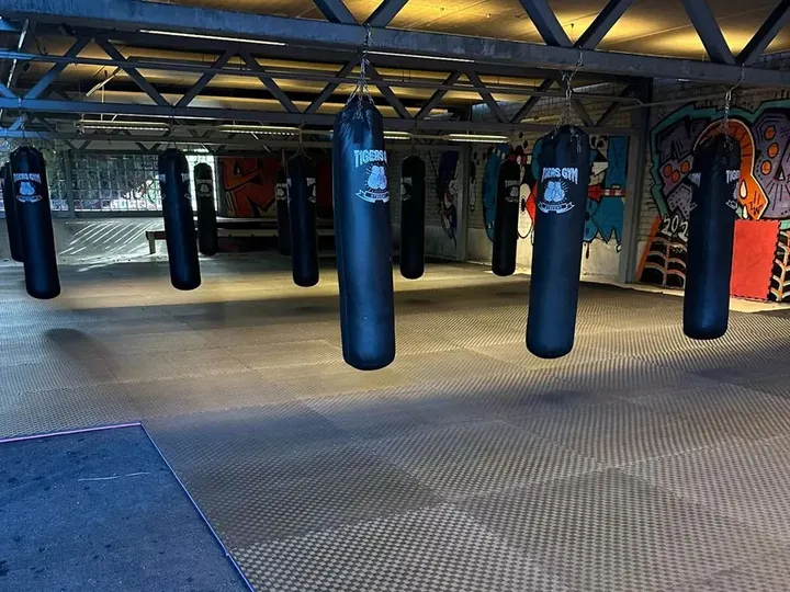 Tigers Gym Utrecht — sportschool-studio in Binnenstad, Utrecht — 3
