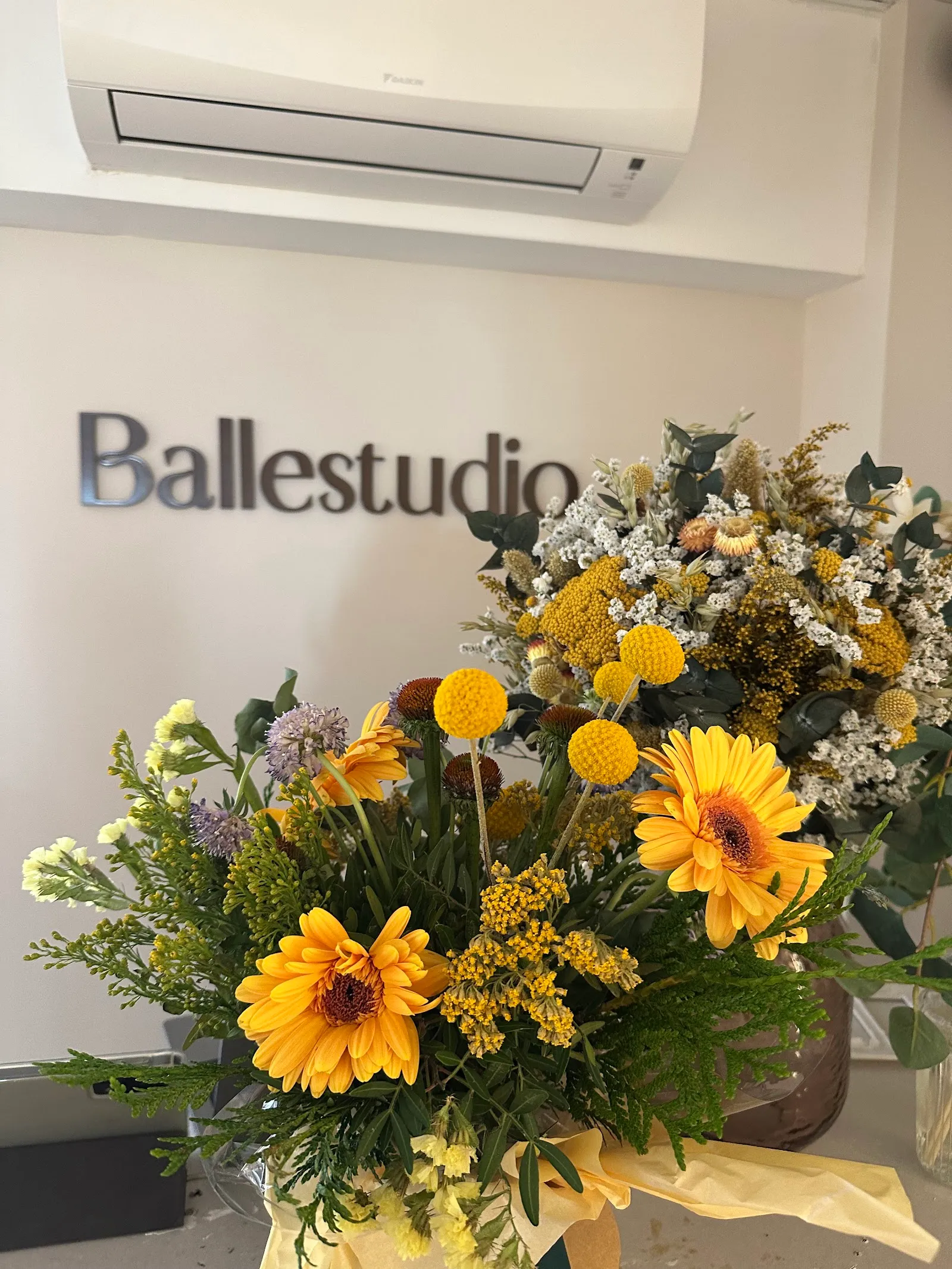 Ballestudio — barre-studio en Arroyomolinos — 3