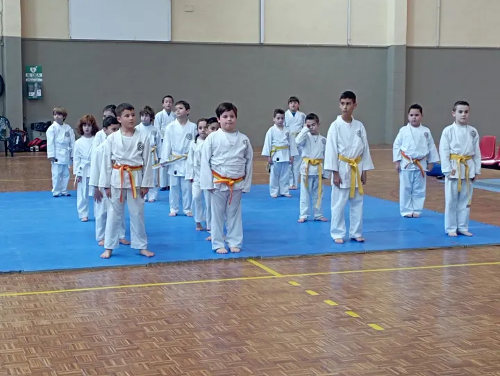 Shotokan — artes marciales-studio en Ciudad Real — 4
