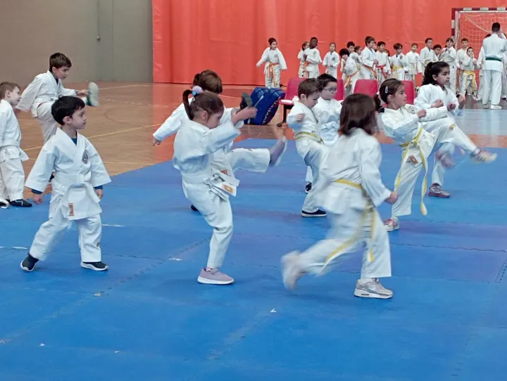Shotokan — artes marciales-studio en Ciudad Real — 5
