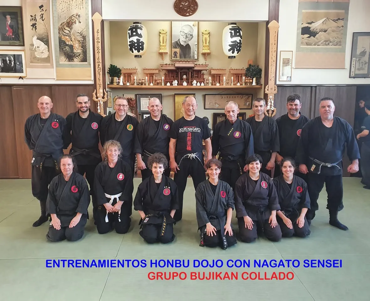 Asociación Nacional Bujinkan Collado Dojo — artes marciales-studio en Valladolid — 4