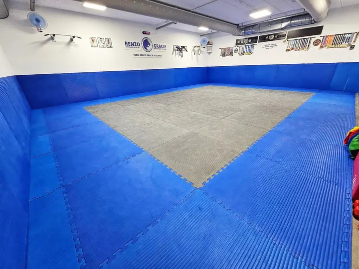 Renzo Gracie Amersfoort — vechtsport-studio in Schothorst-Noord, Amersfoort — 3