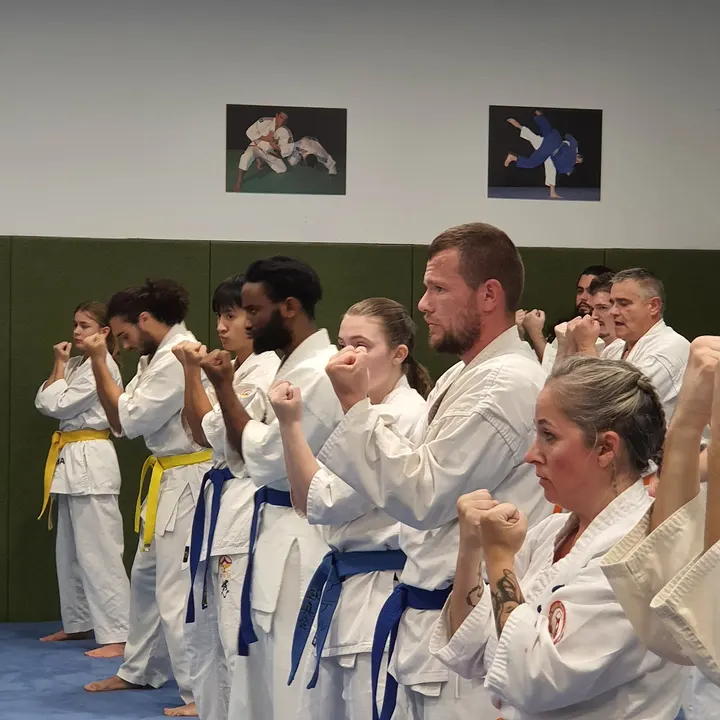 Onami Dojo — arts martiaux-studio à Amiens — 2
