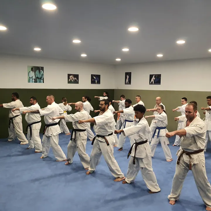 Onami Dojo — arts martiaux-studio à Amiens — 3