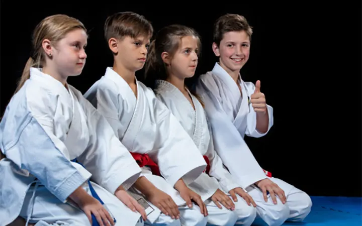 Nippon Sport — vechtsport-studio in De Dem, Hoensbroek — 3