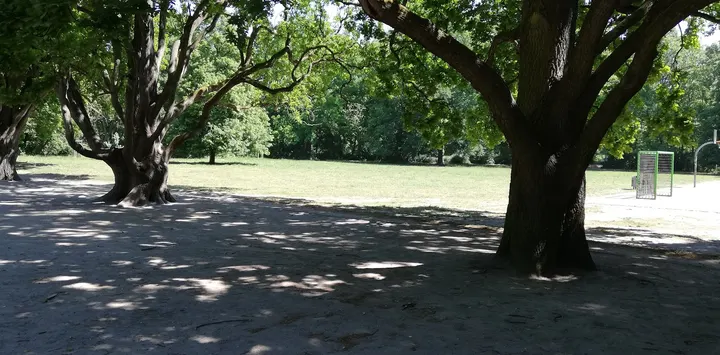 Calisthenics Park — calisthenics-studio in Paunsdorf, Leipzig — 3