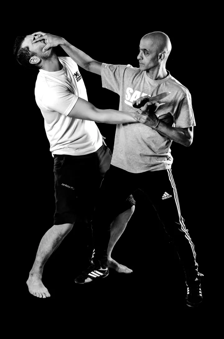 Sport Consulting — arts martiaux-studio à Tassin-la-Demi-Lune, Lyon — 2