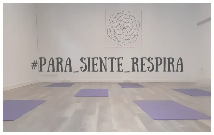 Escuela Yoga Pamplona Hridayam — yoga-studio en Pamplona — 3