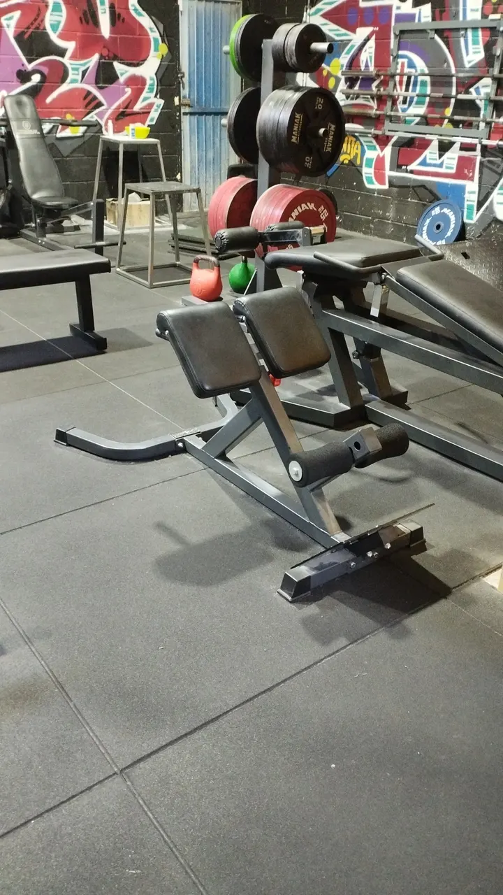 Gimnasio La Forja — fuerza-studio en Guadalajara — 5