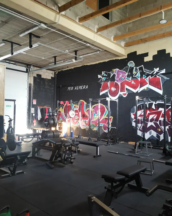 Gimnasio La Forja — Fuerza en Los Manantiales, Guadalajara