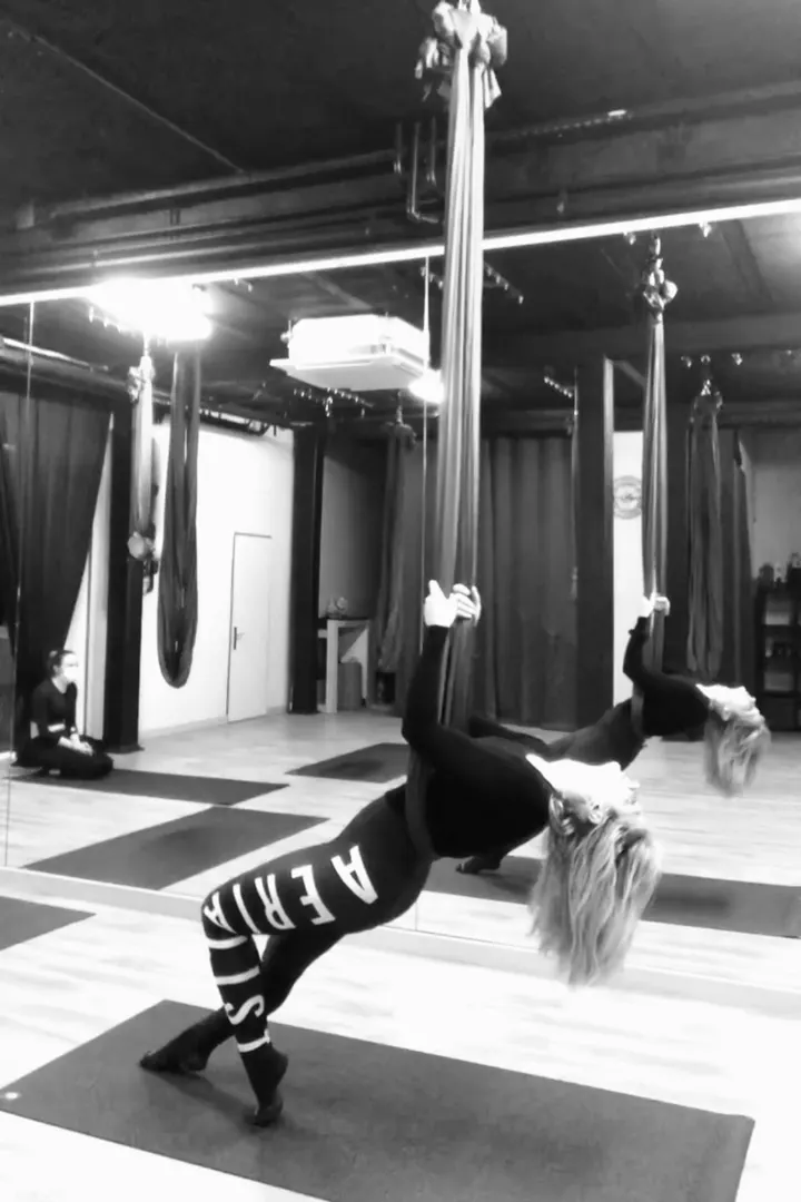 Aerial Studio — arts aériens-studio à Thionville — 3
