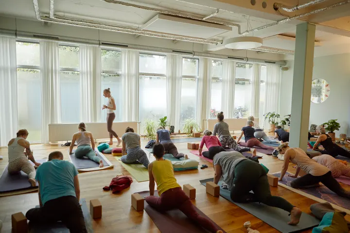 MANALA Yoga — Yoga in Rodenkirchen, Köln
