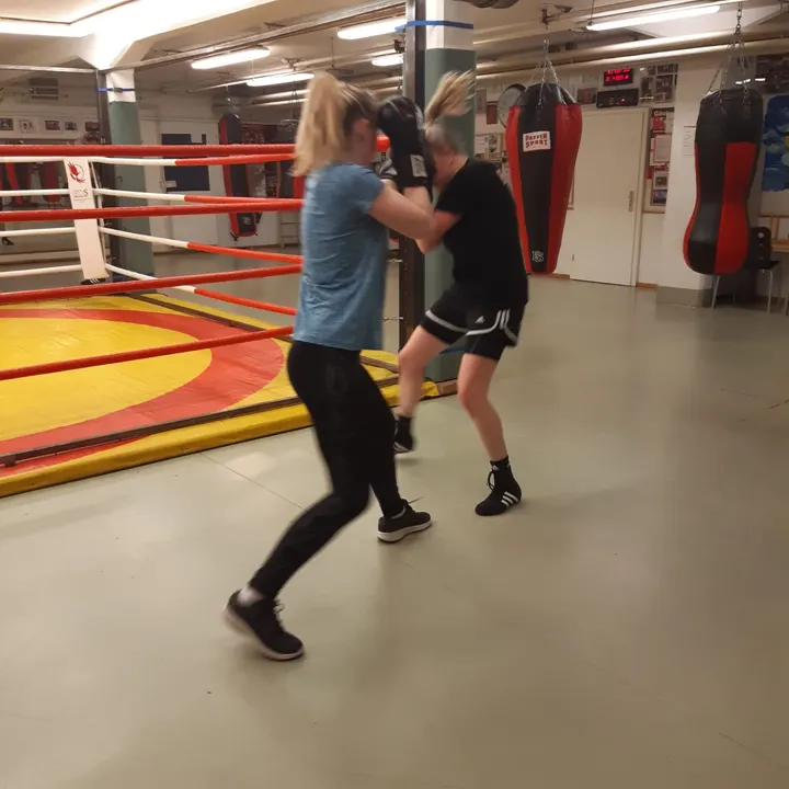 Boxclub Erfurt Thüringer Löwen Löbervorstadt — kampfsport-studio in Erfurt — 3