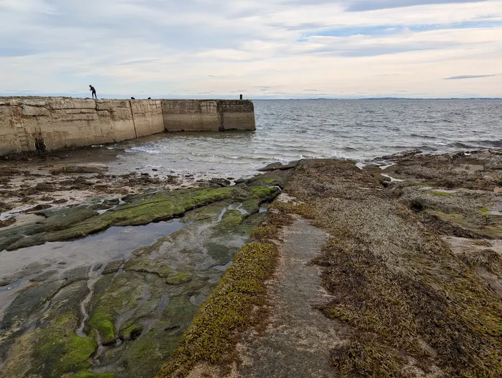 Embo Pier Sauna — recovery-studio in Dornoch — 2