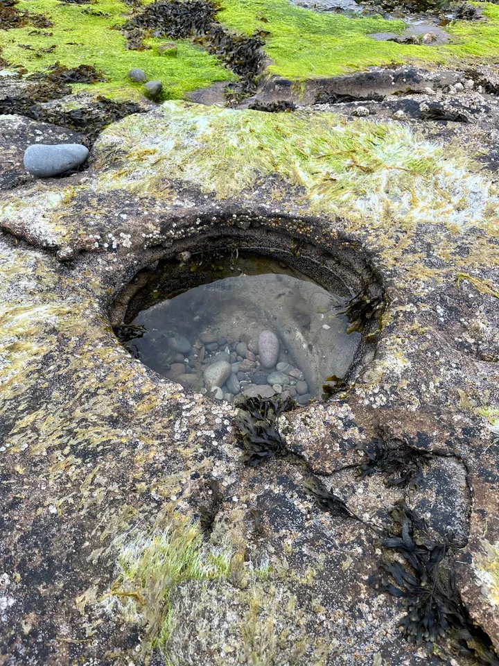 Embo Pier Sauna — recovery-studio in Dornoch — 3