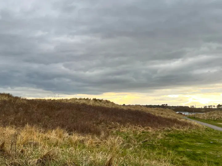 Embo Pier Sauna — recovery-studio in Dornoch — 3