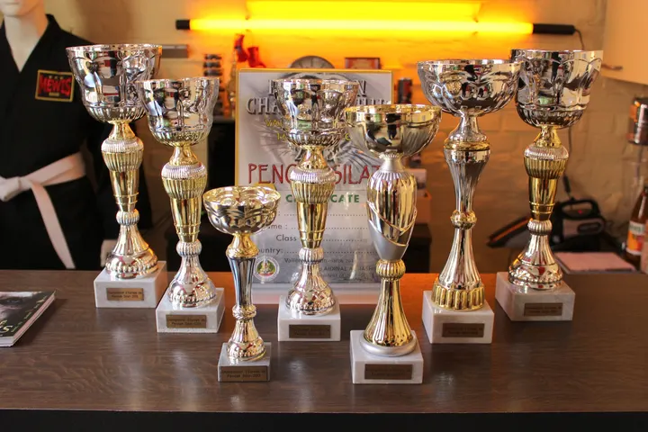 Kampfkunstschule Mewis-Dojo — kampfsport-studio in Moabit, Berlin — 3