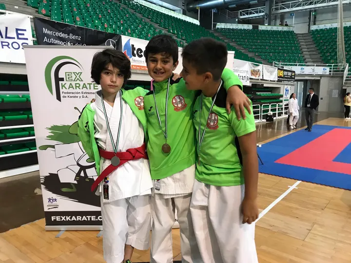 Karate Ikigai Fratres/Giner/Asfit — Artes marciales en Los Fratres, Cáceres