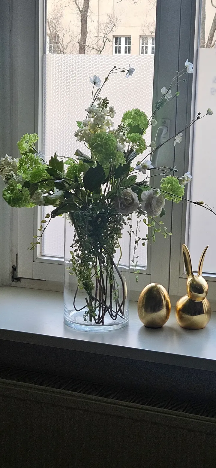 Zentrum für Gesundheit und sensomotorisches Training — functional training-studio in Sternviertel, Magdeburg — 2