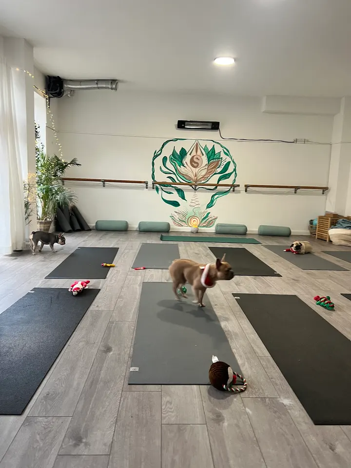 Barefoot Yoga & Therapy — yoga-studio in London — 3
