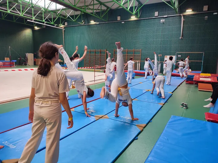 Capoeira Annecy — Arts martiaux à Cran-Gevrier, Annecy