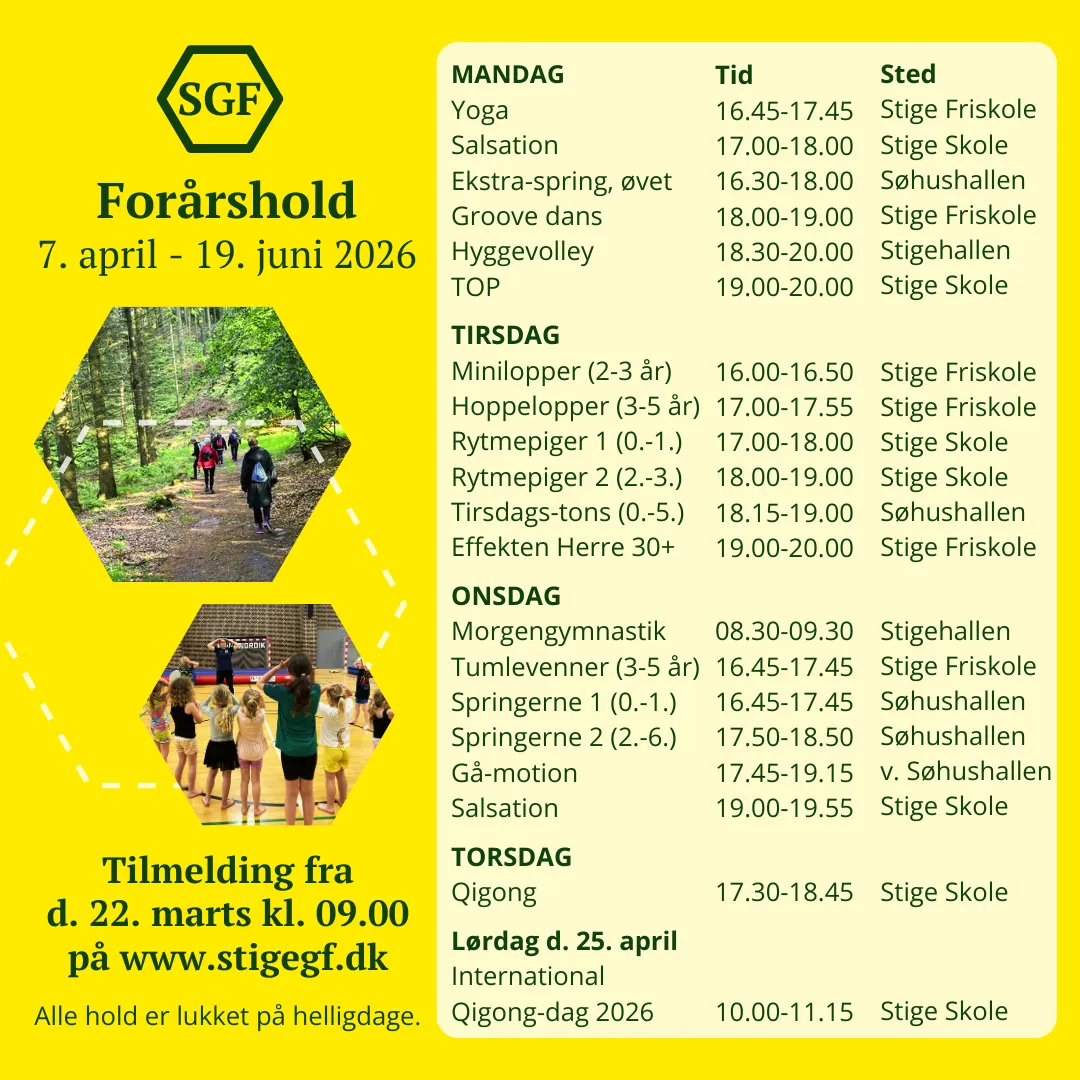 Stige Gymnastikforening — træningsstudio-studio i Odense — bild 3