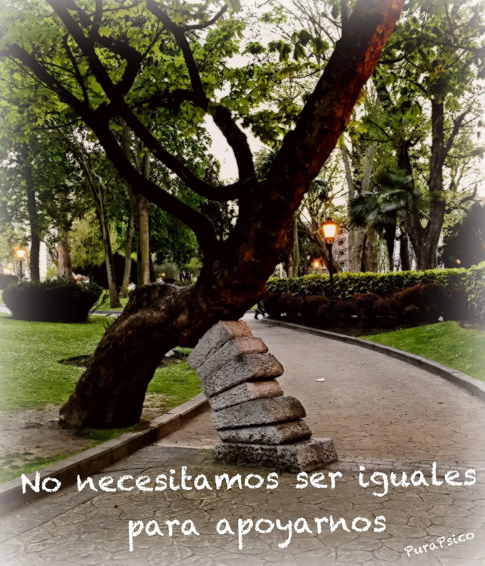 Centro De Psicología y Mindfulness Purificación Estrada — meditación-studio en Oviedo — 3