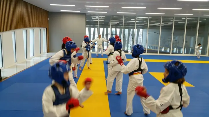 Sporting Karate Marseille — arts martiaux-studio à 8e Arrondissement, Marseille — 2