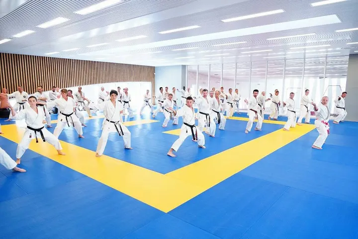 Sporting Karate Marseille — arts martiaux-studio à Marseille — 4