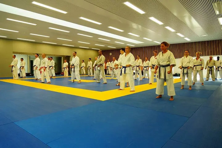 Sporting Karate Marseille — arts martiaux-studio à Marseille — 5