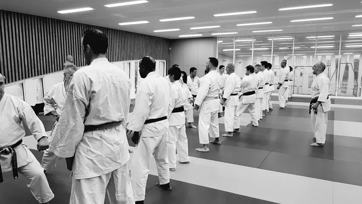 Sporting Karate Marseille — Arts martiaux à 8e Arrondissement, Marseille