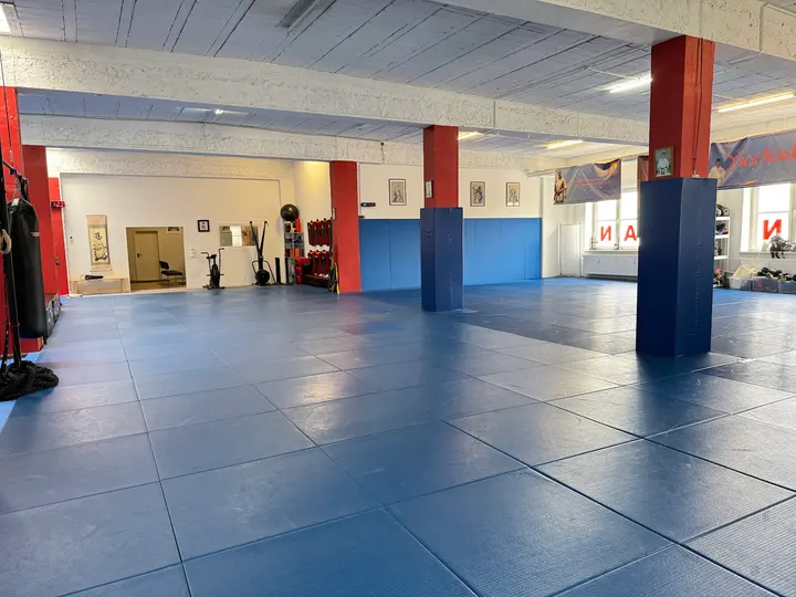 Yushinkan Plagwitz — Kampfsport in Plagwitz, Leipzig