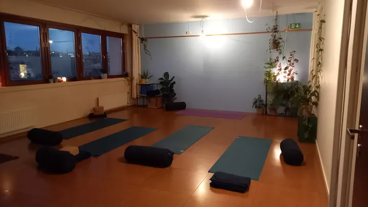 Aleksandra Yoga Aleksandra Maltseva — yoga-studio i OSLO — 3