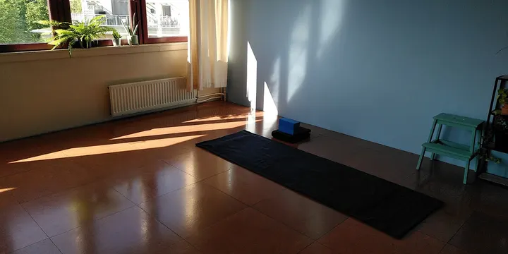 Aleksandra Yoga Aleksandra Maltseva — yoga-studio i OSLO — 5