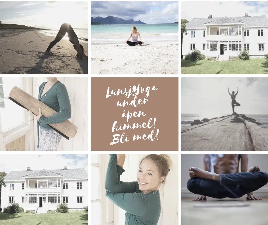 MeruYoga — yoga-studio i Oslo — 3