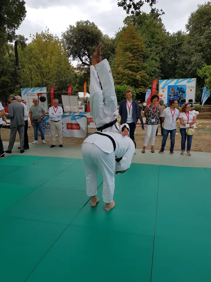 Montpellier Judo Olympic — Arts martiaux à La Paillade, Montpellier