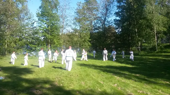 Sastamalan Taekwon-Do — kamppailulajit-studio – Vinkki, Tatamisali — 2