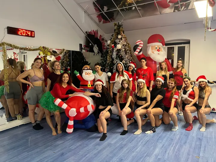 Pole Dance et cerceau aérien Marseille Le PHENIX — salle de fitness-studio à Marseille — 5