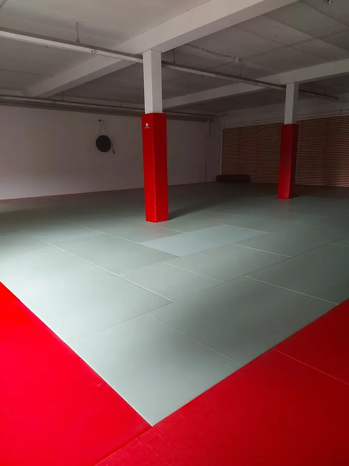Illuminate Jiu-Jitsu — Kampfsport in Prüfening, Regensburg