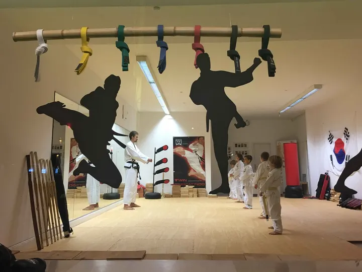 Twin Taekwondo - Starnberg — Martial Arts in München